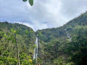 Maui waterfall