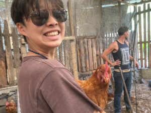 student chicken sunglasses