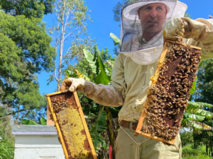 The bees man bee suit