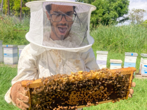 Aziz and the bees
