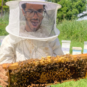 Aziz and the bees