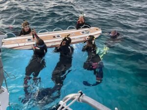 manta ray snorkeling