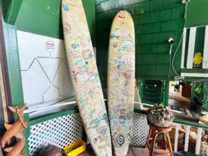 surf boards in hostel