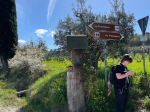 via francigena pilgrimage sign pointing both directions