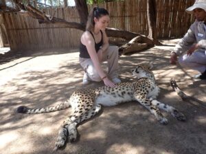 cheetah petting outside girl