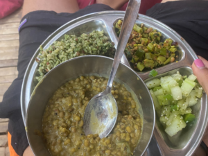 vegan lunch india