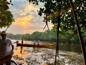 mangrove tour boat water sun
