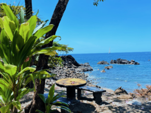 costa rica beach greenery table