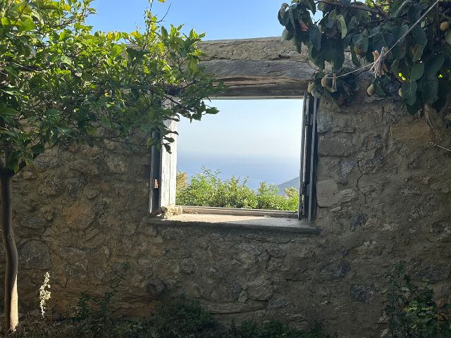 window and greenery in a stone wall