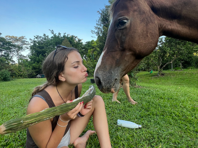 horse and girl sharing snack