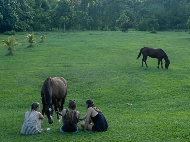 horse and three students in the field