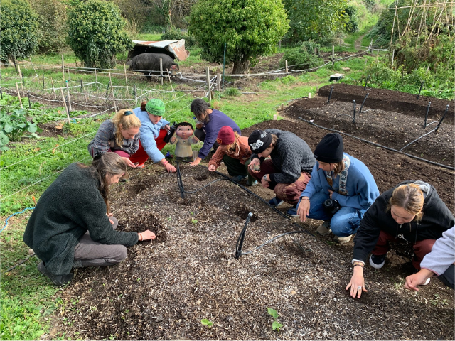 students farming project in the dirt regreen