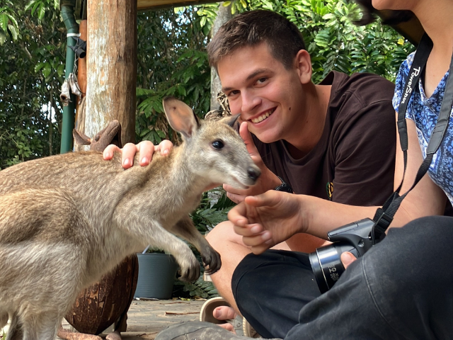 petting kangaroo at conservation