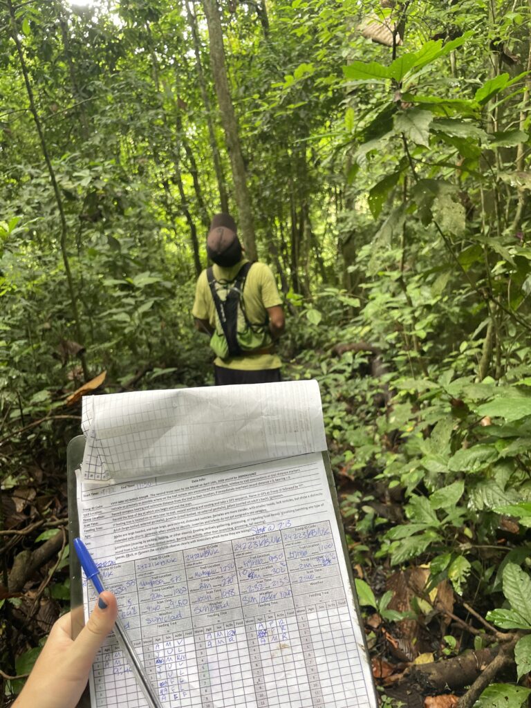 monitoring monkeys in a reserve