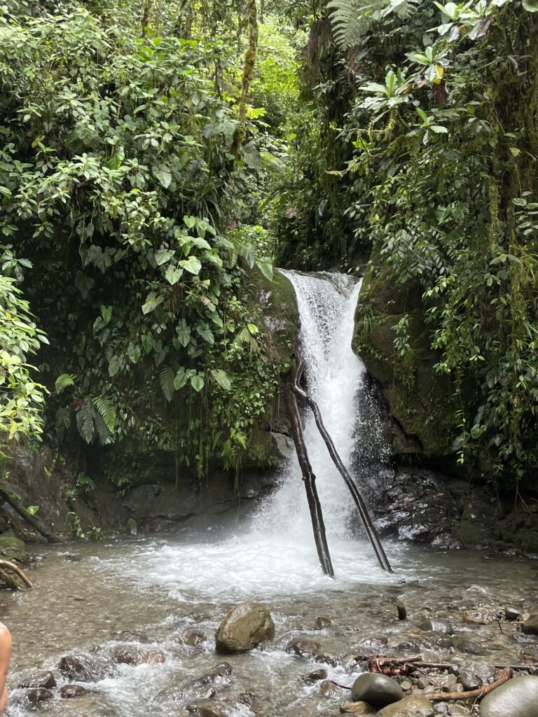 Waterfall in Mindo