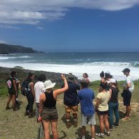 Hawaii Program Page 11