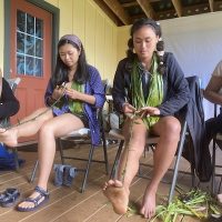 Hawaii Program Page 13