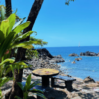 costa rica beach greenery table